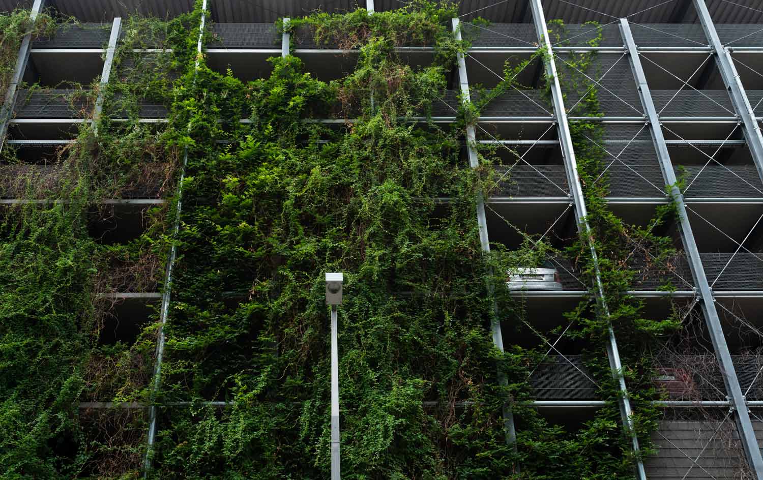 Perspektivische Korrekturen Ausgangsbild