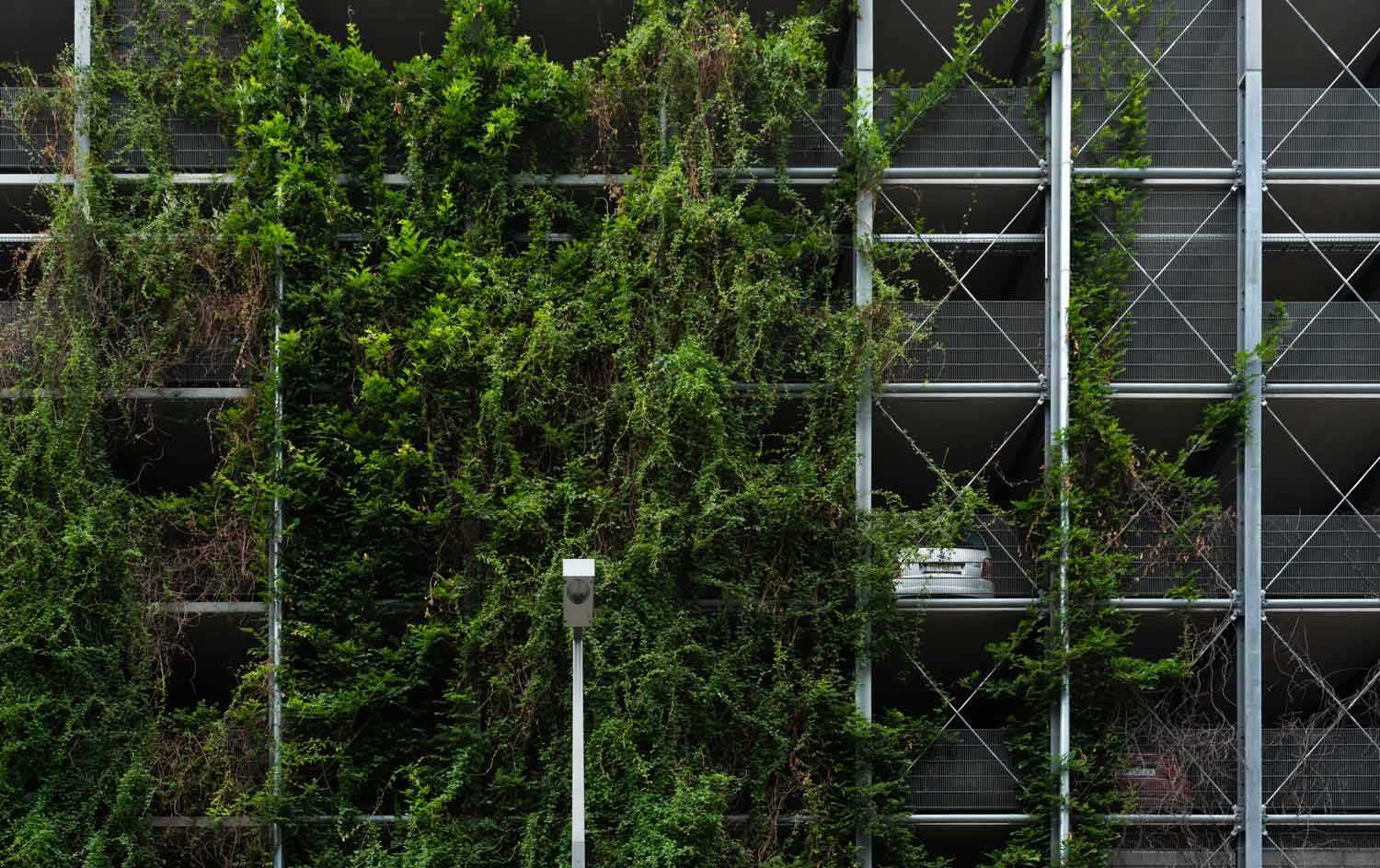 Perspektivische Korrekturen Ausgangsbild